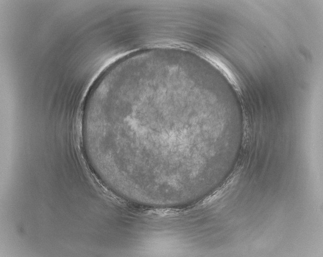 X0000116021000200912181146