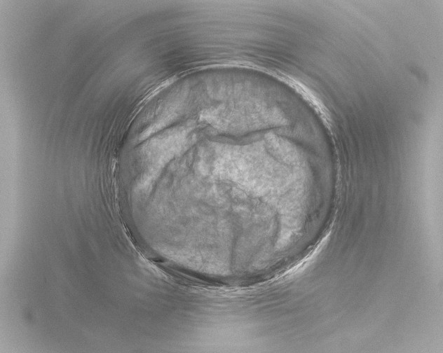 X0000116021001200912181146