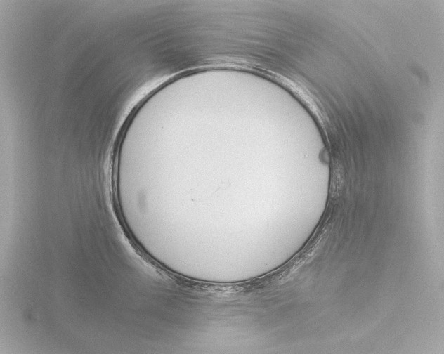 X0000116021003200912181145