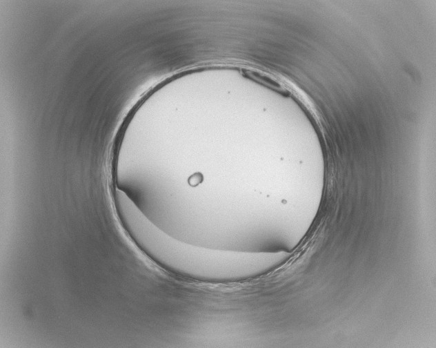 X0000116021005200912181145