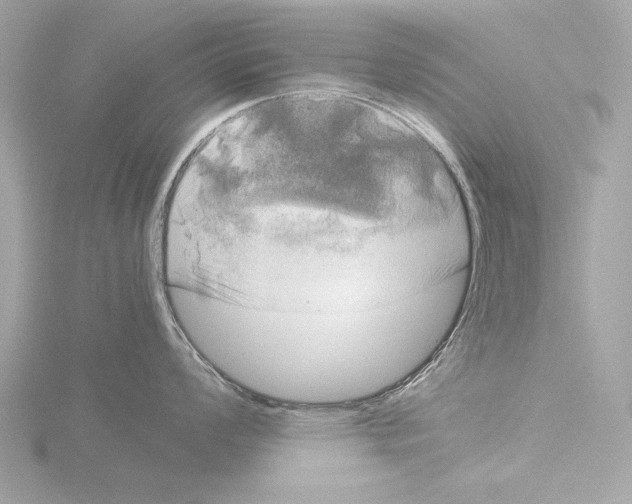 X0000116021008200912181145