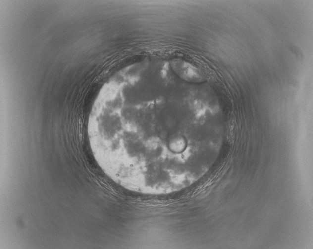 X0000116021010200912181145