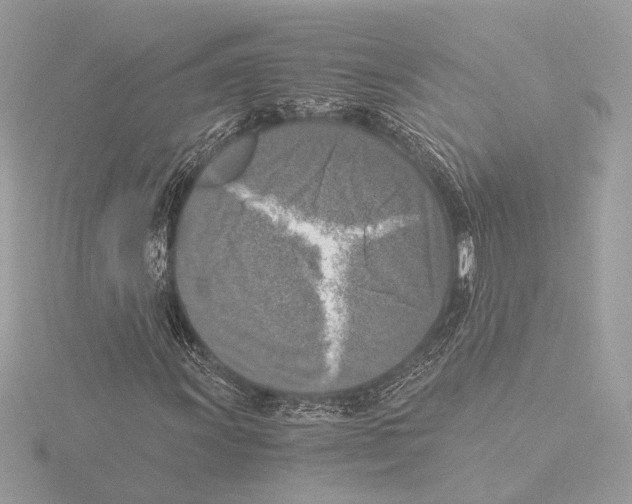 X0000116021011200912181145