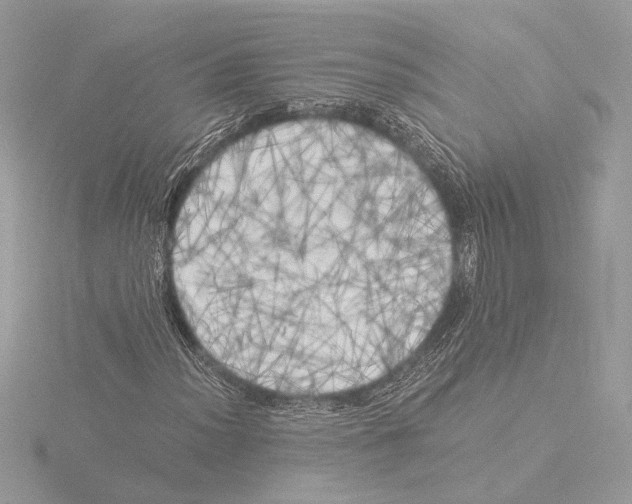 X0000116021012200912181145