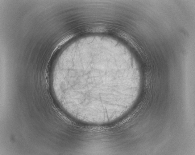 X0000116021018200912181145