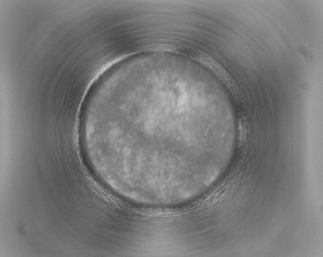 X0000116021020200912181145