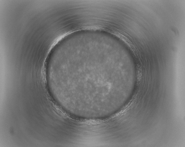 X0000116021022200912181145