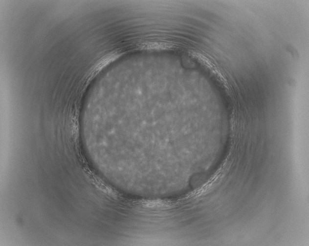 X0000116021025200912181145