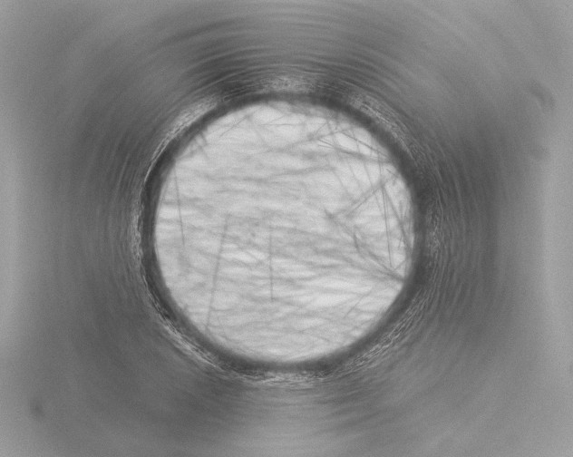 X0000116021026200912181145