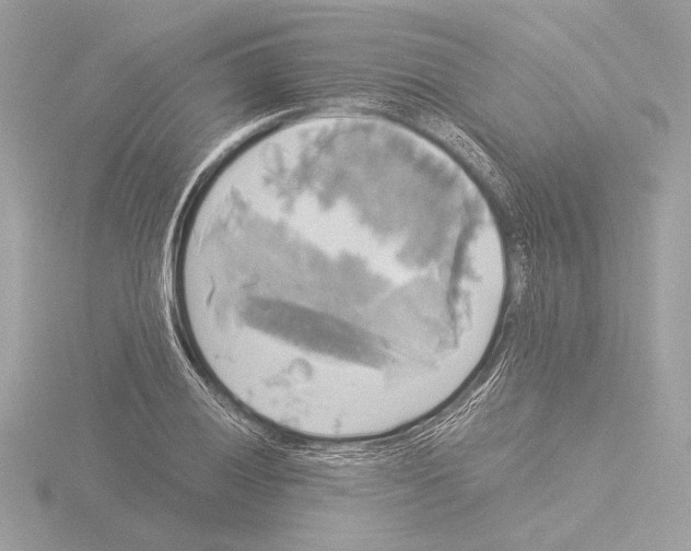 X0000116021028200912181145