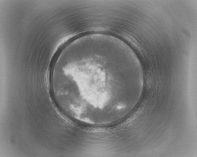 X0000116021030200912181145