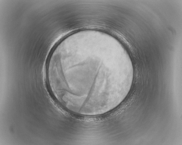 X0000116021032200912181145