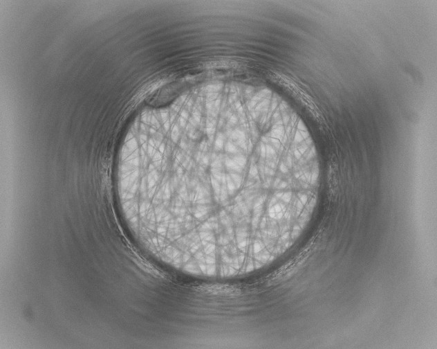X0000116021033200912181145