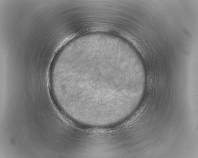 X0000116021034200912181145