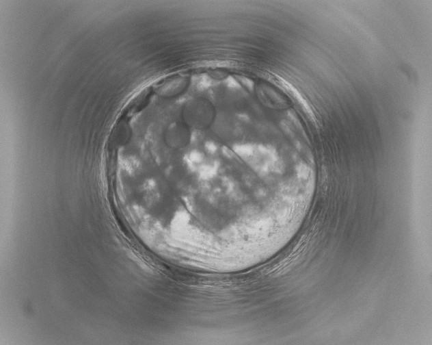 X0000116021035200912181145