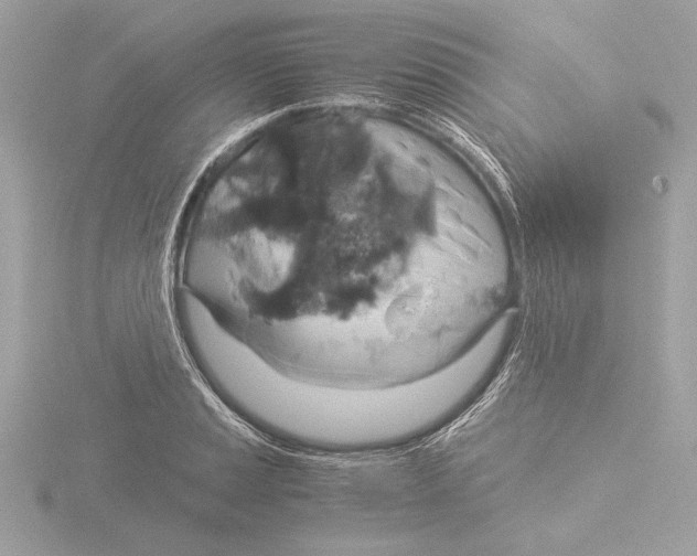 X0000116021037200912181145