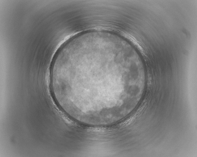 X0000116021040200912181145