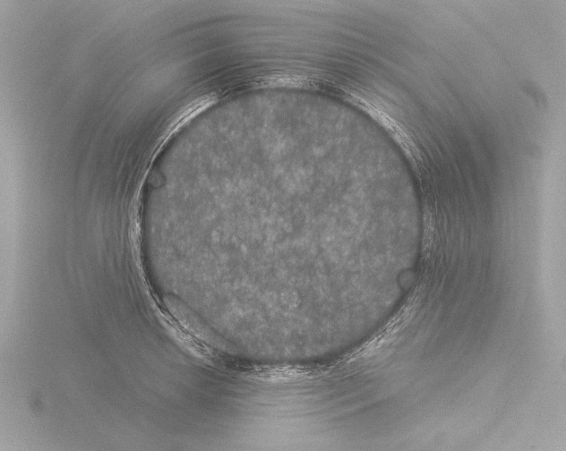 X0000116021042200912181145