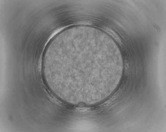 X0000116021044200912181145