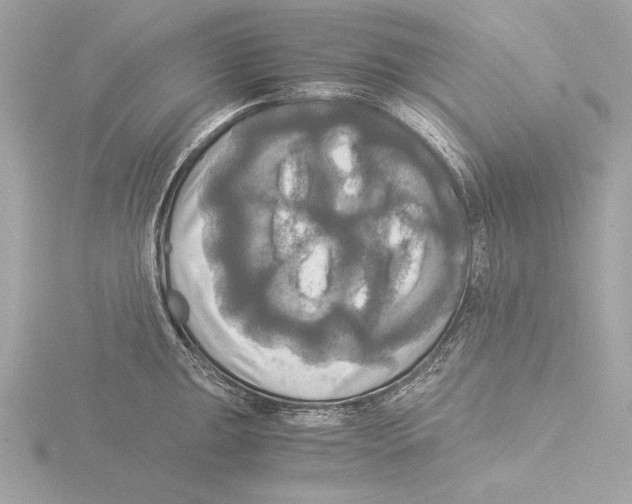 X0000116021047200912181145