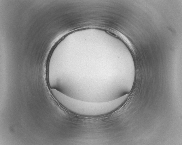 X0000116021051200912181145