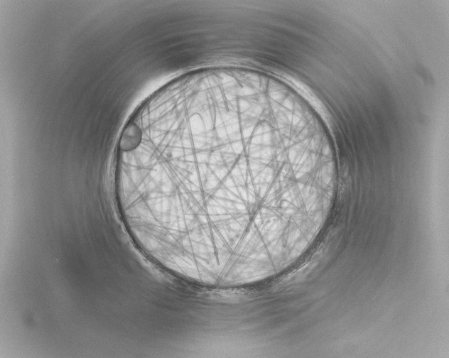 X0000116021053200912181145