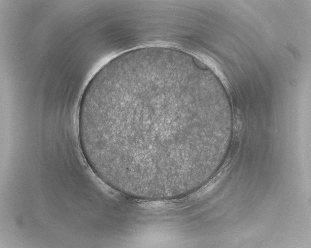 X0000116021054200912181145