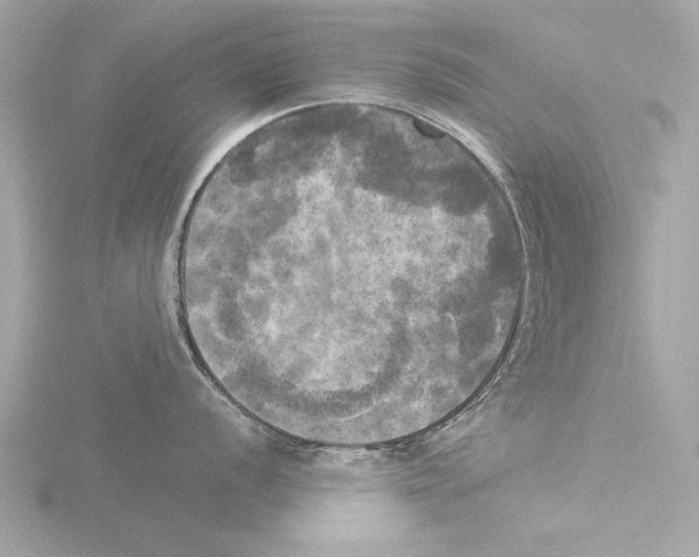 X0000116021056200912181145