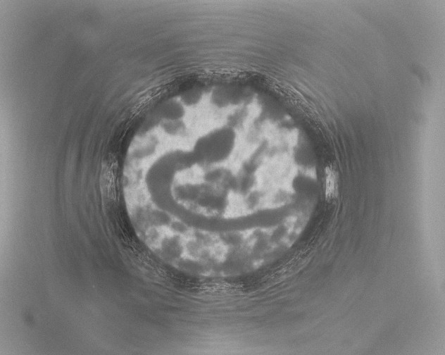 X0000116021059200912181145