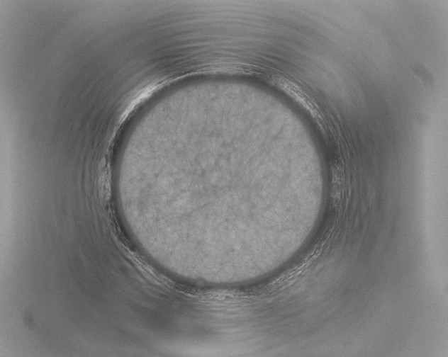 X0000116021067200912181145