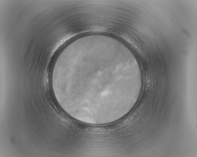 X0000116021070200912181145