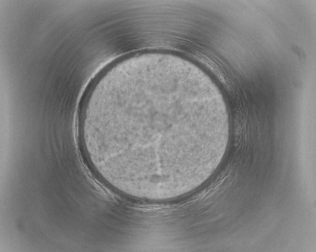 X0000116021076200912181145