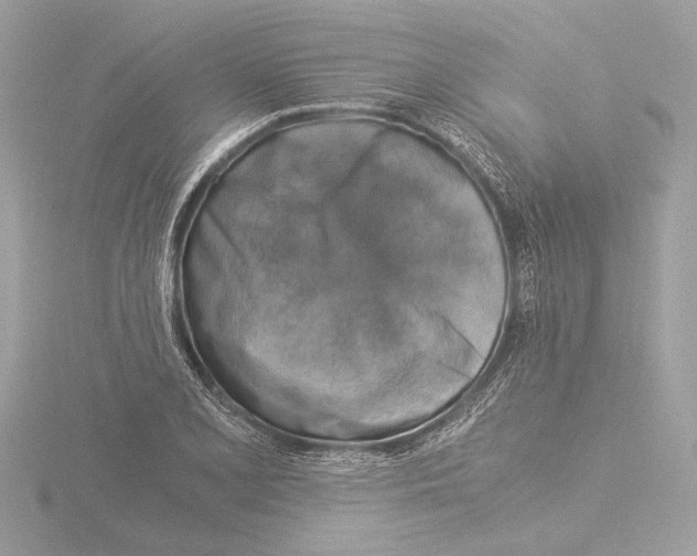 X0000116021077200912181145