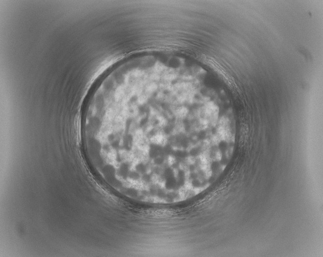 X0000116021079200912181145