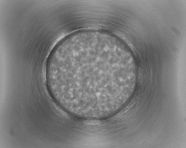 X0000116021083200912181144