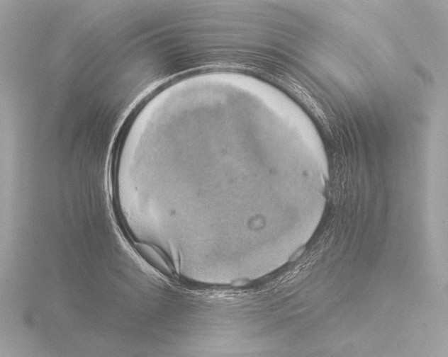 X0000116021084200912181144