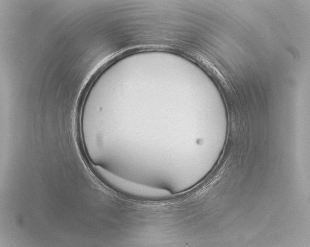 X0000116021085200912181144