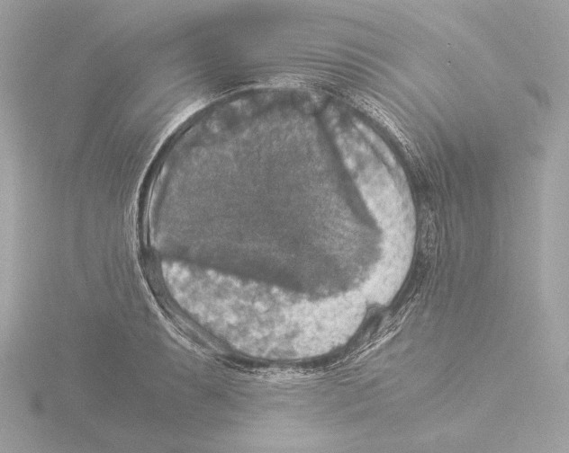 X0000116021087200912181144