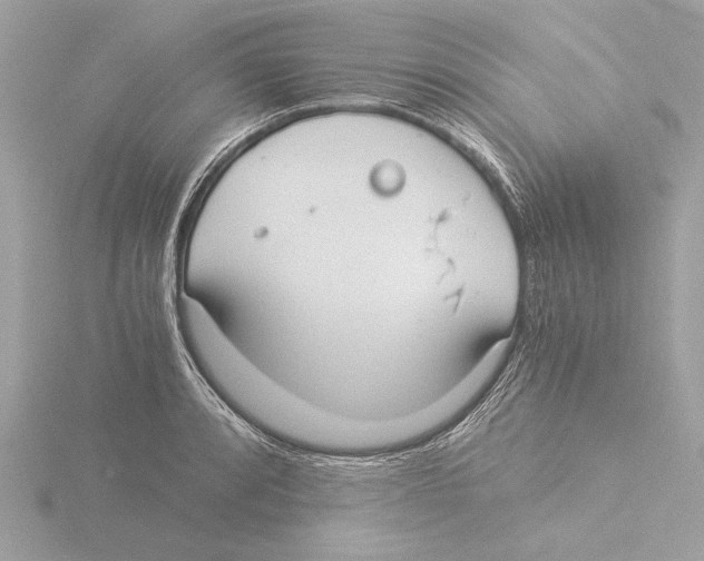 X0000116021088200912181144