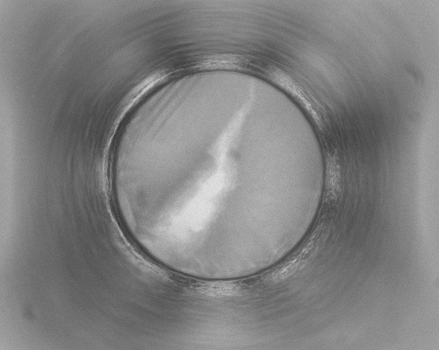 X0000116021090200912181144