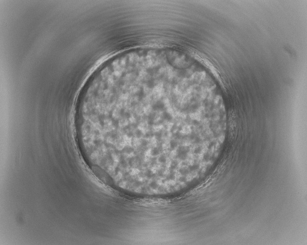 X0000116021091200912181144