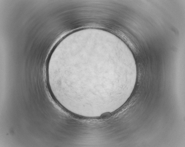 X0000116021092200912181144