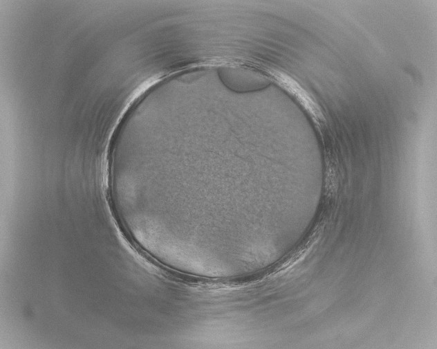 X0000116021095200912181144