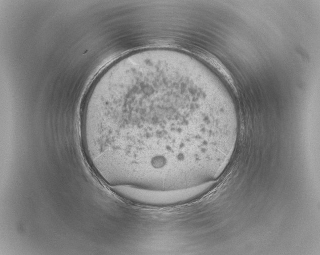 X0000116021096200912181144