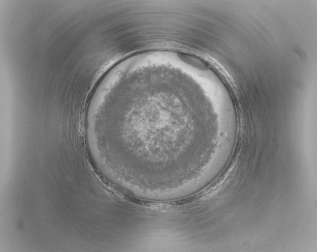 X0000116021097200912181144