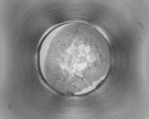 X0000116021100200912181144