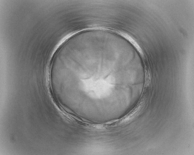 X0000116021101200912181144