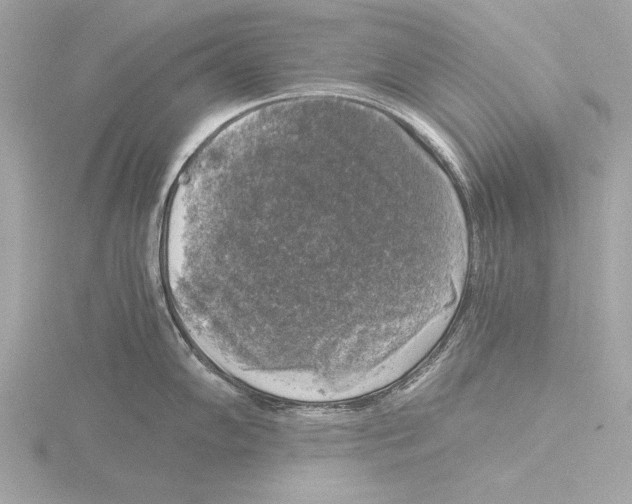 X0000116021102200912181144