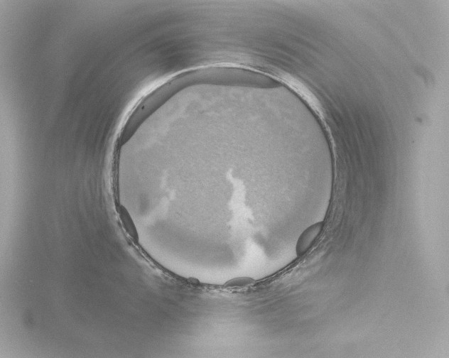 X0000116021104200912181144