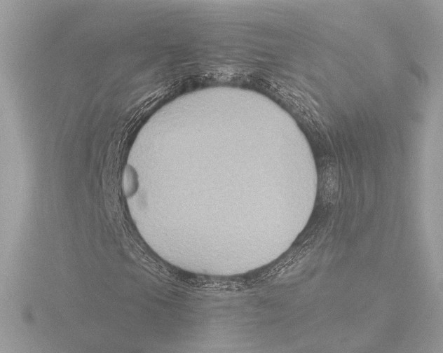 X0000116021105200912181143